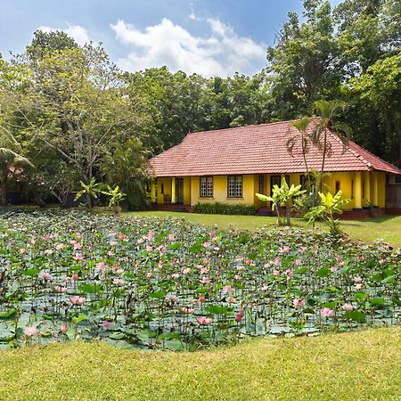 Taj Kumarakom Resort And Spa Kerala Kültér fotó