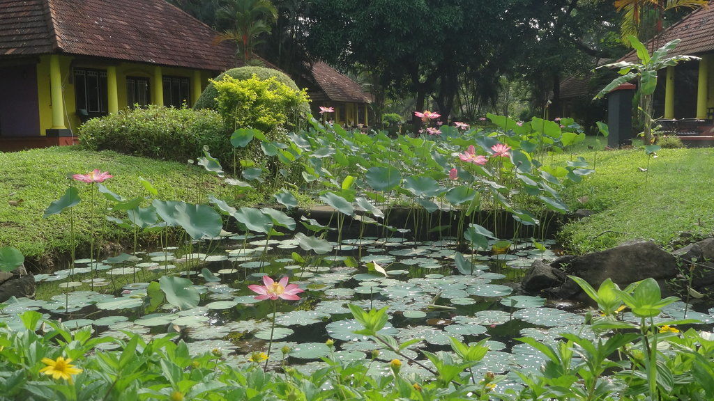 Taj Kumarakom Resort And Spa Kerala Kültér fotó