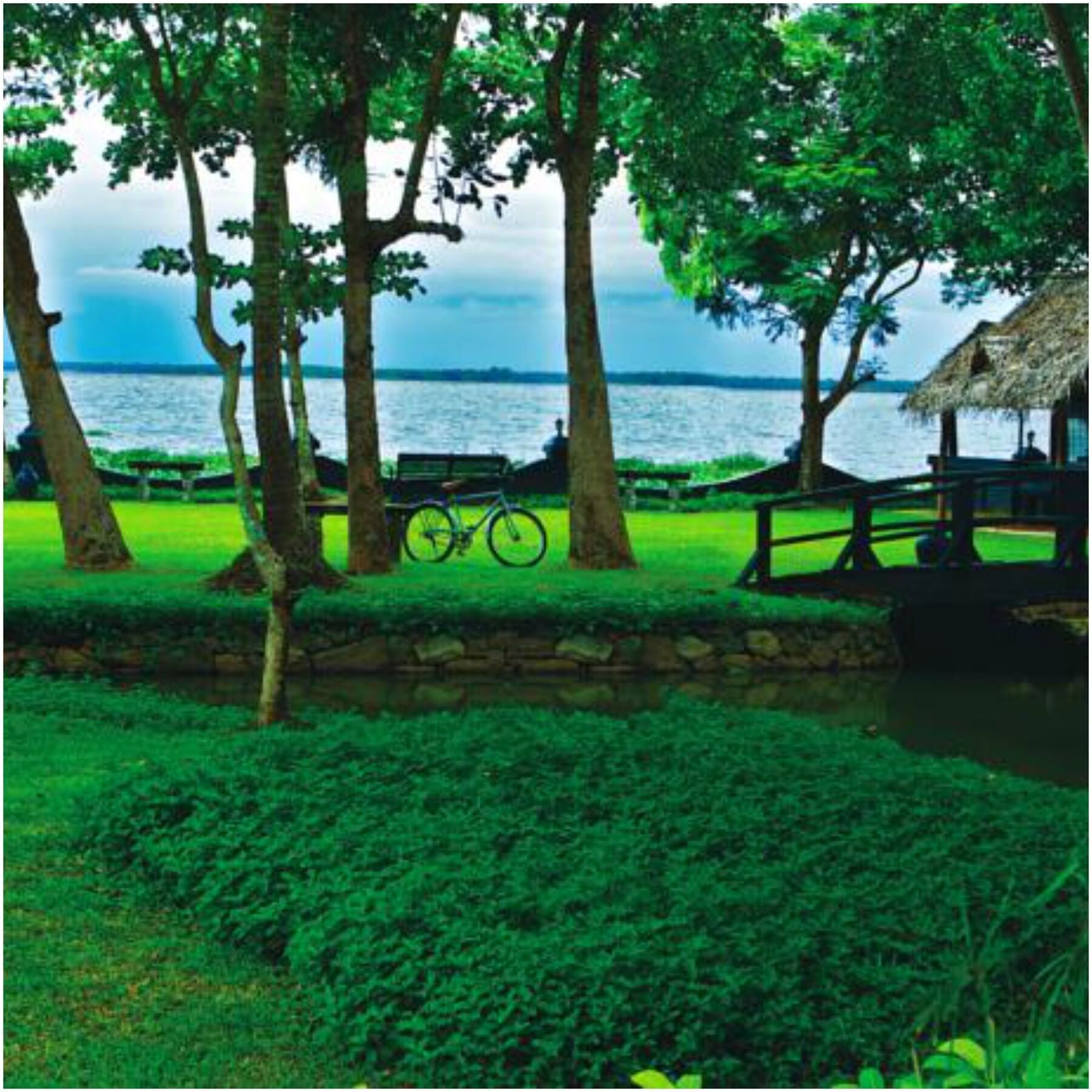 Taj Kumarakom Resort And Spa Kerala Kültér fotó