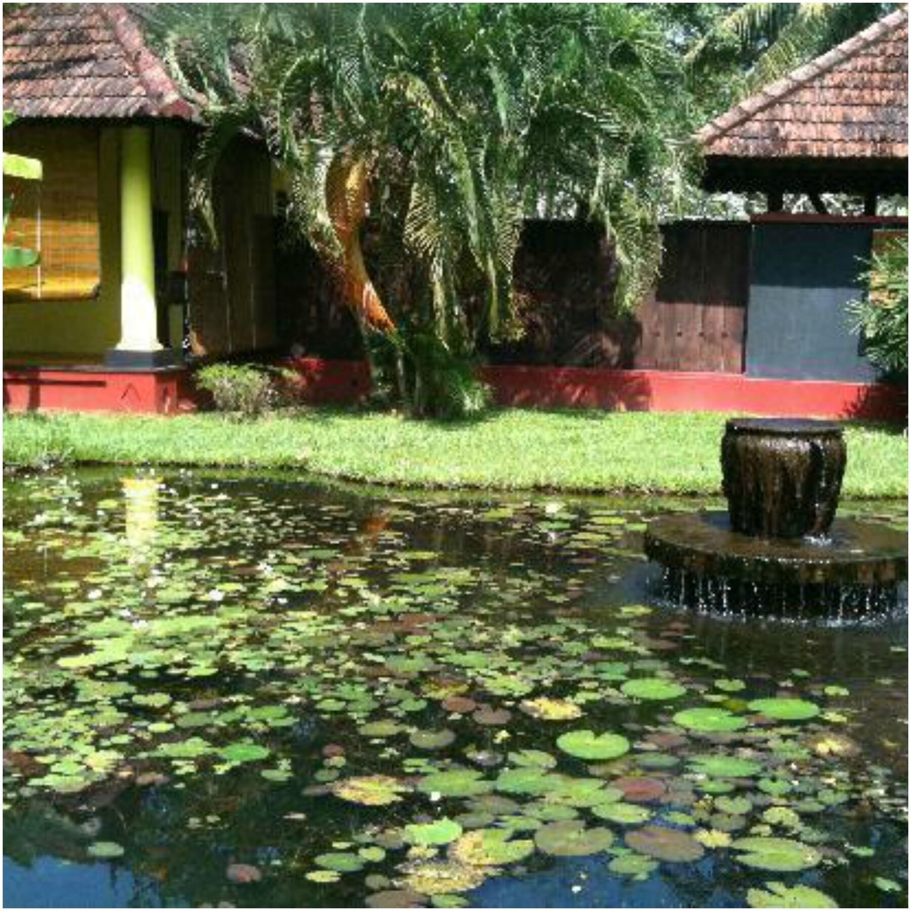 Taj Kumarakom Resort And Spa Kerala Kültér fotó